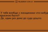 Этот прикол оценил даже слон: забавные анекдоты в этот вечер (ФОТО)