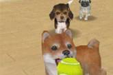 Компьютерная игра Nintendogs сводит с ума собак