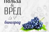 Диетологи рассказали о пользе и вреде винограда