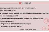 Для тех, кто встал не с той ноги: утренние анекдоты, которые заставят вас смеяться (ФОТО)