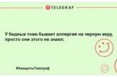 Похохочем вместе: лучшие анекдоты для отличного настроения на целый день