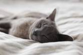 Эксперт по сну подсказал семь способов хорошо выспаться