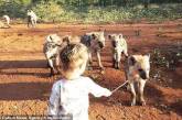 Сеть покорила девочка, подружившаяся с гиенами.(ФОТО)
