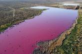 В Аргентине лагуна из-за отходов окрасилась в ярко-розовый цвет. (ФОТО)