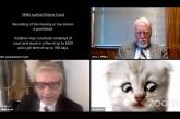 Юристу во время онлайн-заседания суда пришлось доказывать, что он – не кот (ВИДЕО)
