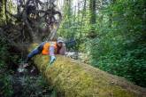 Фотограф поставил в лесу «ловушку»: снимки получились неожиданными (ФОТО)