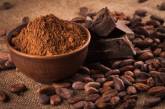 Продлевает жизнь: названо неожиданное полезное свойство какао