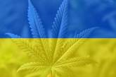 Легализация CBD в Украине. Легален ли СБД в 2022. Законопроект от 07.06.2022