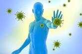 Эксперты рассказали, какие продукты существенно улучшают иммунитет