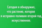 Истории, которые поднимут вам настроение, даже если день не задался