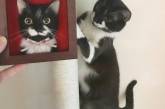 Японец создает впечатляющие 3D-портреты кошек. (ФОТО)