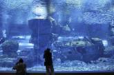 Открылся самый высокогорный аквариум в мире.  (ФОТО)
