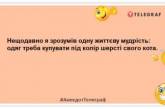 Сторож складу біжутерії живе дуже бідно, але дуже красиво: найкращі анекдоти (ФОТО)