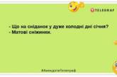 Сміятиметеся всією сім’єю: свіжі анекдоти на вечір (ФОТО)