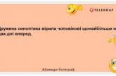 Якщо дружина вранці приносить помирати, то вона не лише розумна, а й гарна: кумедні жарти (ФОТО)