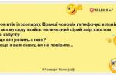 Вчора в мене вкрали гаманець. Я пішов у поліцію. Це не вони: нові анекдоти для настрою (ФОТО)