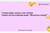 Табличка на заборе: "Осторожно! Во дворе ГОЛОДНАЯ собака": прикольные шутки о четвероногих друзьях (ФОТО)