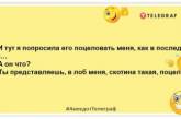 Живешь без мужика — из грязной посуды у тебя за вечер только бокал: анекдоты о милых женщинах (ФОТО)