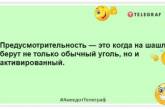 С наступлением лета стал относить себя к мангалоидной расе: смешные шутки для хорошего настроения (ФОТО)