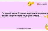 Чим більше ти любиш свого кота, тим менше він залишає місця на твоєму ліжку: смішні анекдоти про вусатих-хвостатих (ФОТО)