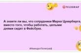 Тільки коли вимикаєш комп, відразу згадуєш що хотів знайти в інтернеті: жартівливі жарти про всесвітню мережу (ФОТО)