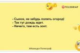 Життя на дачі є, якщо там немає дружини, тещі та городу: актуальні анекдоти про дачників (ФОТО)