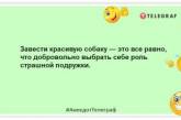 Господа, а как будет чи-хуа-хуа во множественном числе? Уморительные шутки про собак (ФОТО)