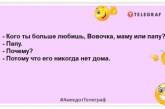 Вовочка, какой должна быть идеальная школа? — Закрытой! Эти анекдоты поднимут настроение (ФОТО)