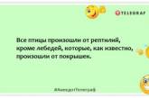 Самка богомола дуже здивувалася, зустрівши свого колишнього: кумедні жарти про світ тварин (ФОТО)