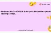 А где можно почитать новости о ковиде? Хочу немного расслабиться: свежие шутки на злобу дня (ФОТО)