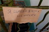 Декілька шедеврів писемності, від яких і око нервово смикається, і живіт від сміху болить