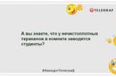 Я человек простой — увидел таракана, собрал вещи, переехал: веселые шутки о надоедливых вредителях (ФОТО)