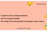 Если вам в голову лезет всякий бред, значит у него там гнездо: смешные анекдоты для вашего настроения (ФОТО)