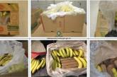 В канадские супермаркеты случайно завезли бананы, напичканные наркотиками (ФОТО)