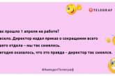 Разумные мысли приходят только тогда, когда глупости уже сделаны: подборка позитивных утренних шуток (ФОТО)