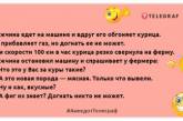 Если звенит будильник — значит лучшая часть суток уже позади: позитивная подборка анекдотов и шуток на утро (ФОТО)