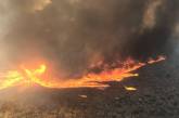 Каліфорнію накрив вогняний торнадо, є жертви (ВІДЕО)