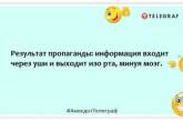 Почитал книжку, задумался… Посмотрел телевизор — уф, вроде отпустило: смешные шутки про телевидение (ФОТО)