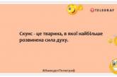 Самка богомола дуже здивувалася, зустрівши свого колишнього: кумедні жарти про світ тварин (ФОТО)