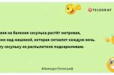 Іноді хочеться взяти все та кинути. Лише де взяти? Позитивна добірка жартів