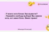 Если хочешь найти потерявшихся когда-то родственников, купи дом у моря: веселые анекдоты (ФОТО)