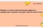 Сторож склада бижутерии живет очень бедно, но очень красиво: лучшие анекдоты (ФОТО)