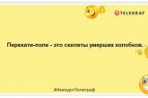 Я, звичайно, не собака, але моя улюблена команда - лежати: веселі жарти для настрою (ФОТО)