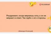 Встаешь в 6 утра — буди и кота. А что, только ему можно? Уморительные шутки про усатых и хвостатых (ФОТО)