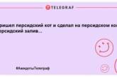 "Стукайте голосніше - у дворі глухий собака": ульотні жарти про братів наших менших (ФОТО)