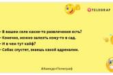 Чим далі від понеділка, тим добріший ранок: нові веселі жарти (ФОТО)