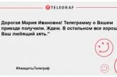 Хоронили тёщу — поймали двух покемонов: анекдоты, которые оценят все зятья (ФОТО)