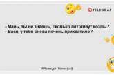 Не з'їжджаю від батьків, бо вибрав не кар'єру, а сім'ю: гуморні анекдоти на день (ФОТО)