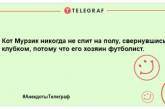 Сміх без причини – ознака гарного настрою: веселі жарти на день