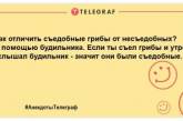 Найсмішніші анекдоти для відмінного продовження дня